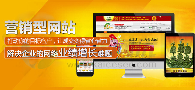 愷策網(wǎng)優(yōu)為您的企業(yè)項(xiàng)目解決業(yè)績(jī)?cè)鲩L(zhǎng)的難題