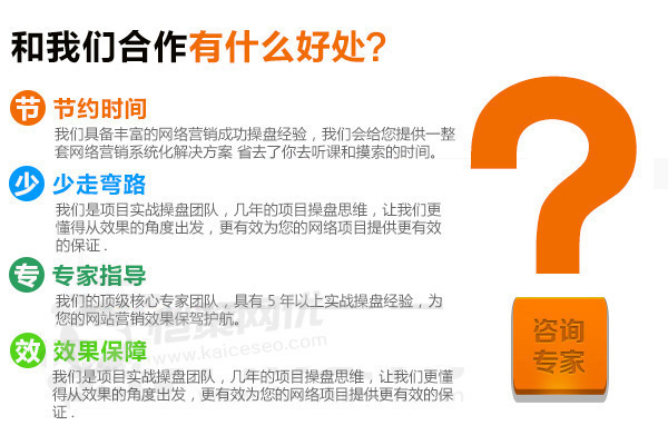 愷策網優是一家專業做營銷型網站的公司，能為您的項目提供效果保證