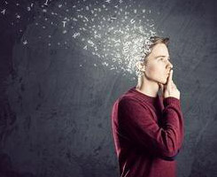 德州做網站建設要沉著，不可浮躁